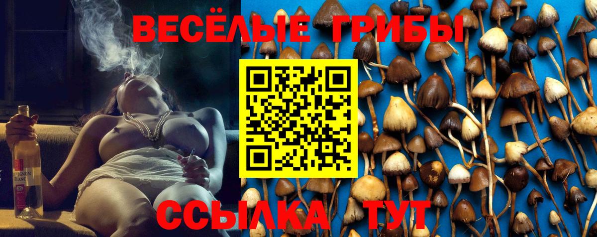 Псилоцибиновые грибы Magic Shrooms  Вход с VPN  Галлюциногенные грибы мухоморы  Озёры 