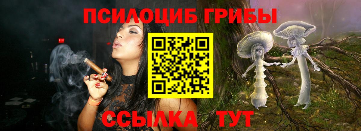 Псилоцибиновые грибы MAGIC MUSHROOMS Озёры